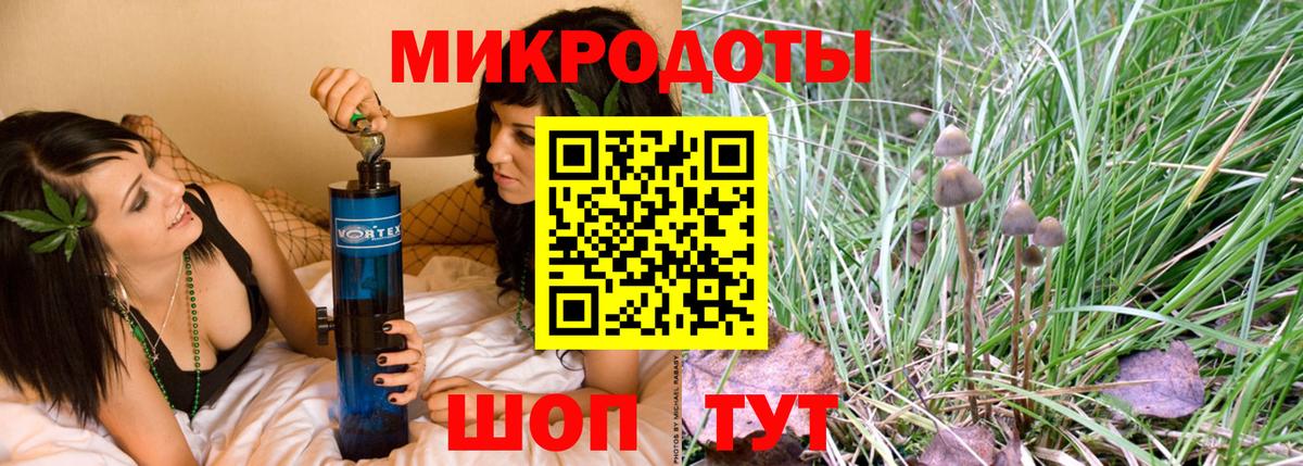 Черкесск  Галлюциногенные грибы Psilocybe  Вход с VPN 