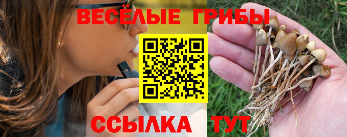 Псилоцибиновые грибы Psilocybe Черкесск
